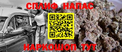 стафф Новозыбков