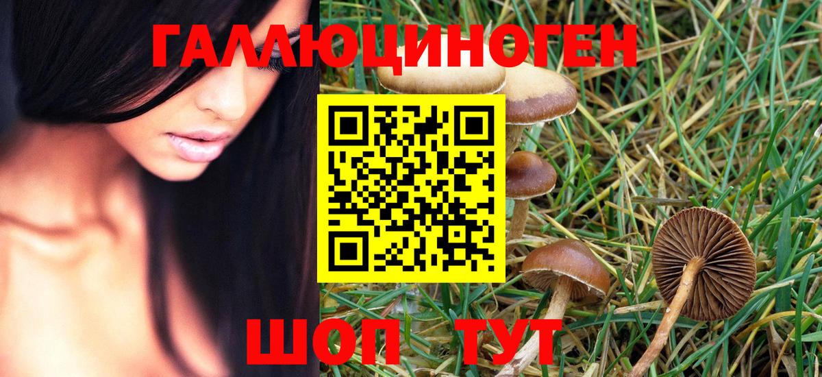 Галлюциногенные грибы MAGIC MUSHROOMS Уварово