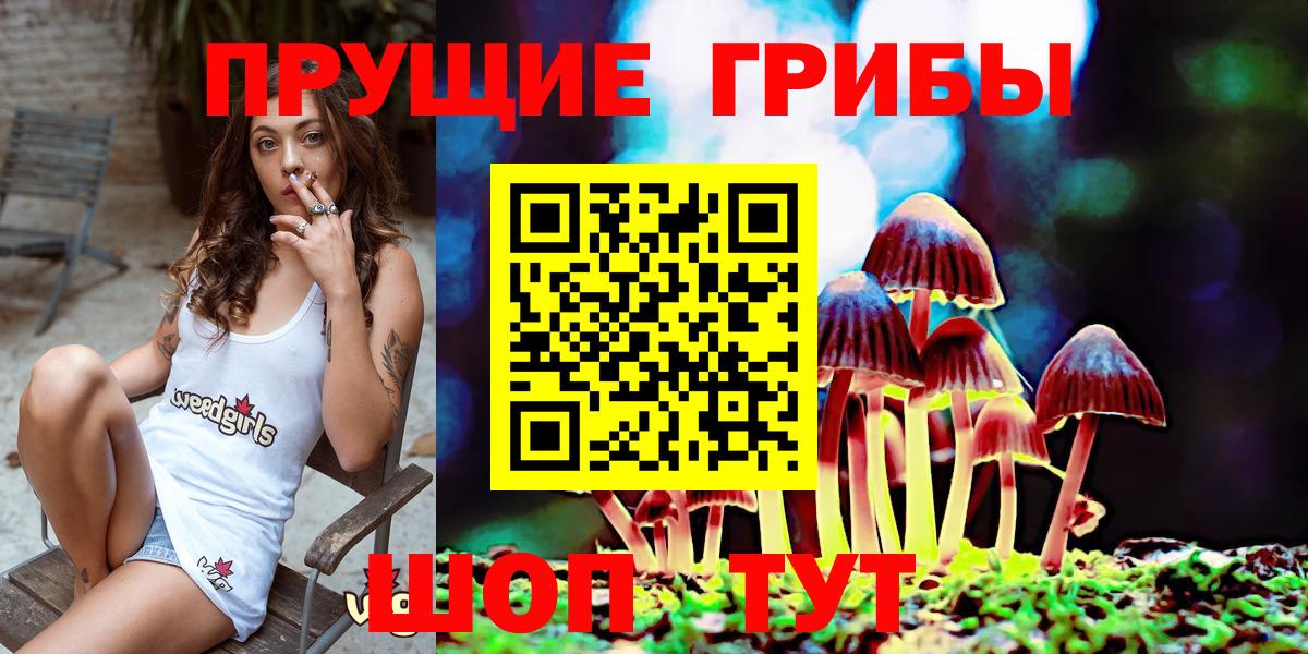 Галлюциногенные грибы Psilocybe  Псилоцибиновые грибы Magic Shrooms  Вход с VPN  Уварово 